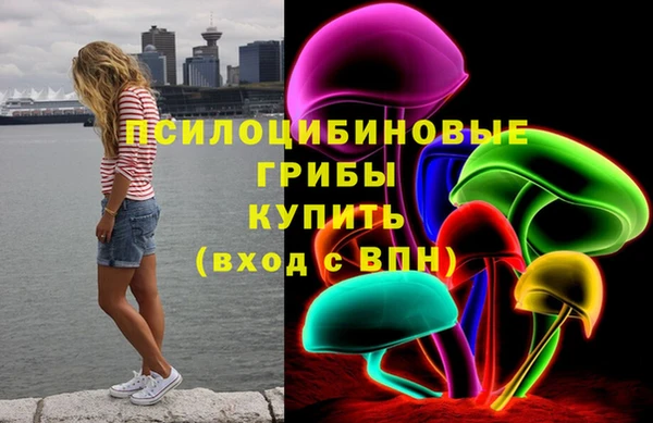 таблы Надым