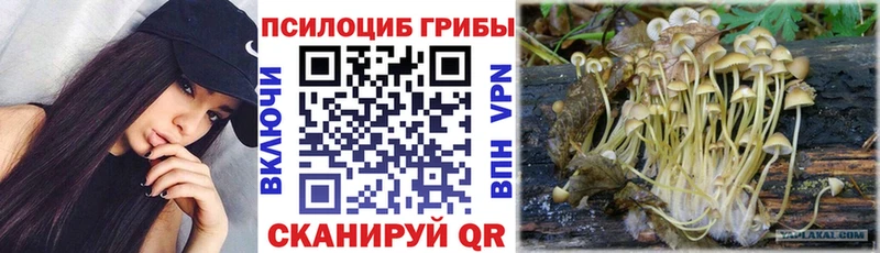 Купить закладки  Микунь  Псилоцибиновые грибы мухоморы 